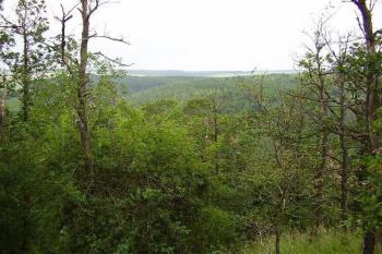 Hradiště nad Javornicí (© Roman Kolibač, 06/2007)