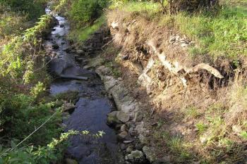 Pozůstatky zpevněných břehů náhonu či samotných stěn Hamru č. II ( © Jan P. Štěpánek 09/2007)
