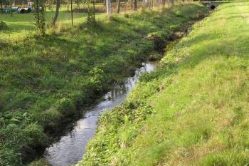 Bývalý hamerní náhon pod Hamrem č. II směřující k zaniklému Hamru č. III ( © Jan P. Štěpánek 09/2007)