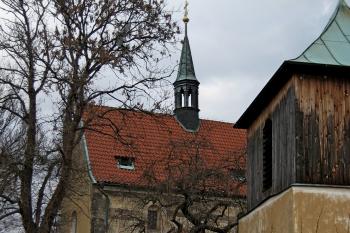  (© Zdeněk Susa, 02/2014)