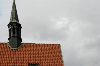  (© Zdeněk Susa, 02/2014)