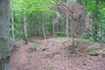 Třetí a druhý příkop ( © Jiří Čížek 06/2004)