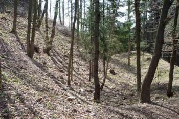 Příkop (© Iva Spurná 04/2005)