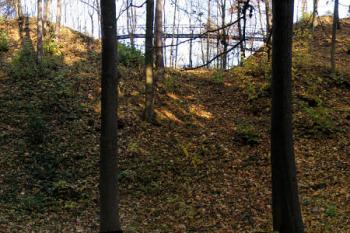 panorama hradu od západu - vlevo předhradí, vpravo jádro ( © Pavel Zany Komárek 29.10. 2005)