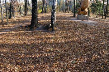plocha předhradí - pohled od severozápadu ( © Pavel Zany Komárek 29.10. 2005)