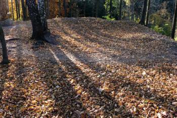 zbytky budovy v čele předhradí ( © Pavel Zany Komárek 29.10. 2005)