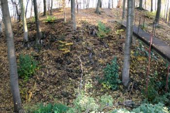 čelo předhradí přes šíjový příkop ( © Pavel Zany Komárek 29.10. 2005)