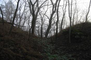příkop na jihu (© D Dohňanský, 01/2016)