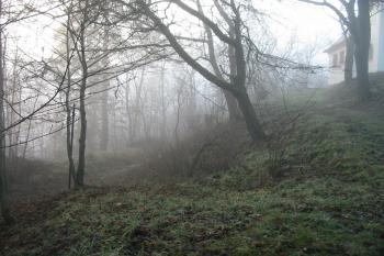 vých.svah s příkopem (© D Dohňanský, 01/2016)