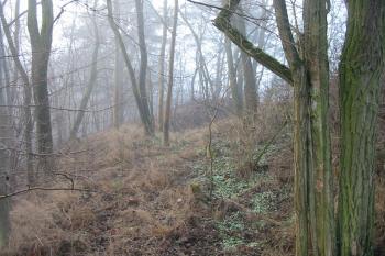 příkop na vých.straně (© D Dohňanský, 01/2016)