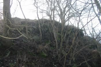 skalní podloží na severu (© D Dohňanský, 01/2016)
