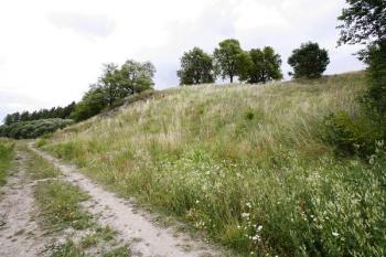 Lokalita od jihozápadu, z cesty k rybníku Hrádek ( © Filip Matoušek 7/2007)