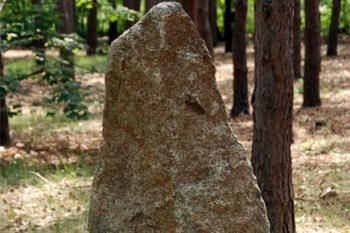 Kámen z kruhu ( © Petr Vaculčík 10/2007)