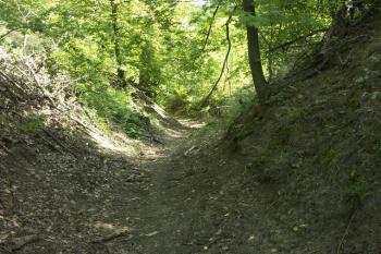 příkop a val (© Milan Caha, 10/2007)