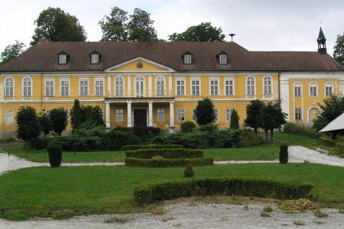 Čekanice
