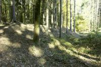Březí