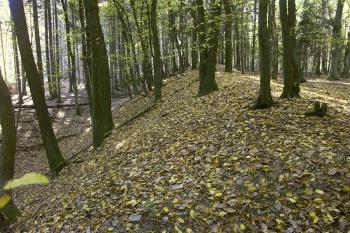  ( © Milan Caha 10/2007)