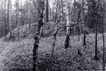 Historická fotografie (Z. Pehal, P. Obst)