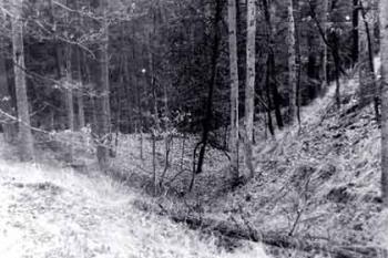 Historická fotografie (Z. Pehal, P. Obst)