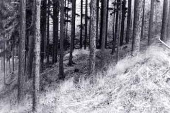 Historická fotografie (Z. Pehal, P. Obst)