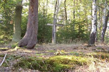 Červenice (© Jan Laurýn, 09/2007)