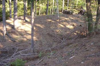 Červenice (© Jan Laurýn, 09/2007)