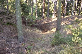 Červenice (© Jan Laurýn, 09/2007)