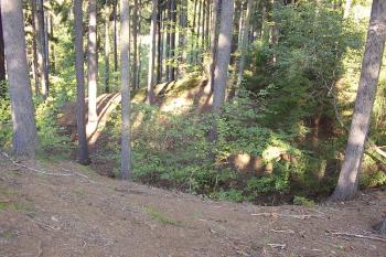 Červenice (© Jan Laurýn, 09/2007)