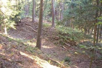 Červenice (© Jan Laurýn, 09/2007)