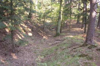 Červenice (© Jan Laurýn, 09/2007)