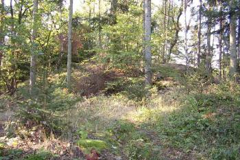 Červenice (© Jan Laurýn, 09/2007)