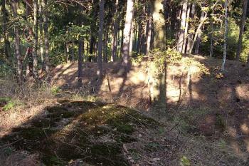 Červenice (© Jan Laurýn, 09/2007)