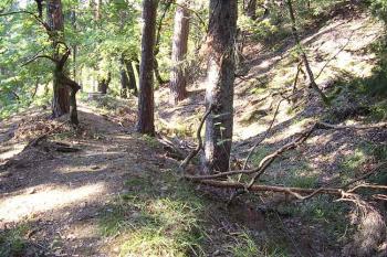 Červenice (© Jan Laurýn, 09/2007)