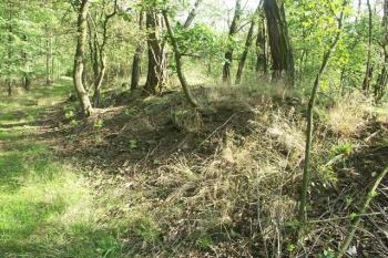 Obvodový val na západní části ostrožny (© Milan Caha, 09/2007)