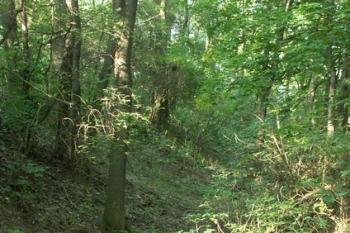 Příkop v místě novodobého vstupu (© Milan Caha, 09/2007)