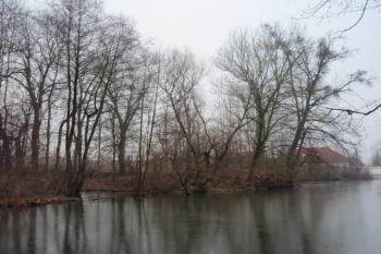  (© Rostislav Vondra, 02/2008)