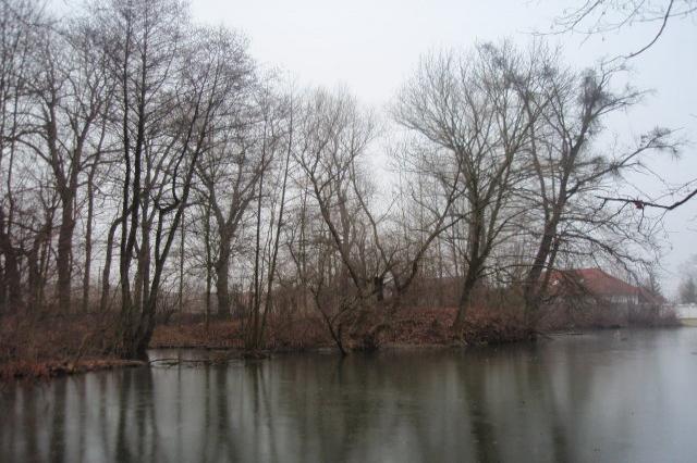 Ostrov