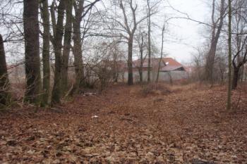  (© Rostislav Vondra, 02/2008)