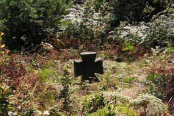 Gaudernackův smírčí kříž u Arnoltic (© Michal Kiesel, 11/2007)