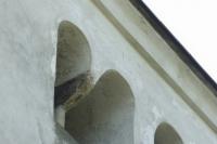 kostel sv. Prokopa