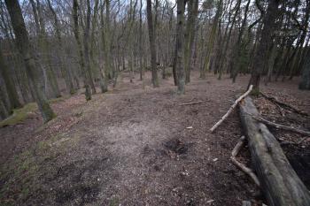  ( © Jiří Čížek 03/2019)