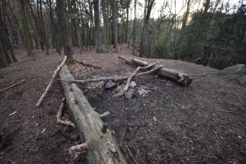  ( © Jiří Čížek 03/2019)