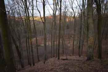  ( © Jiří Čížek 03/2019)