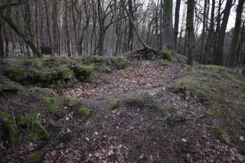  ( © Jiří Čížek 03/2019)