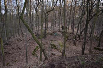  ( © Jiří Čížek 03/2019)