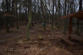  ( © Jiří Čížek 03/2019)