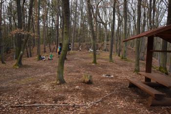  ( © Jiří Čížek 03/2019)