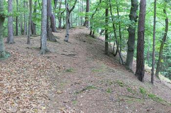  ( © Petr Turyna 09/2006)