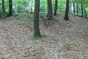 Pahorek v zadní části hradního jádra ( © Petr Turyna 09/2006)