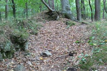  ( © Petr Turyna 09/2006)